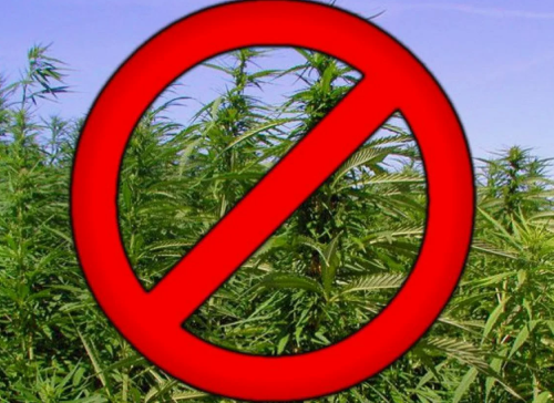 Ответственность за выращивание наркосодержащих растений, незаконного потребления наркотических средств и психотропных веществ