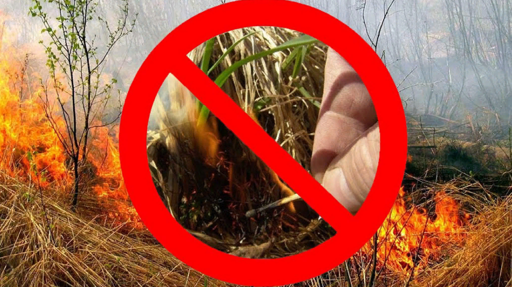 Пал сухой травы и разведение костров: опасность и ответственность