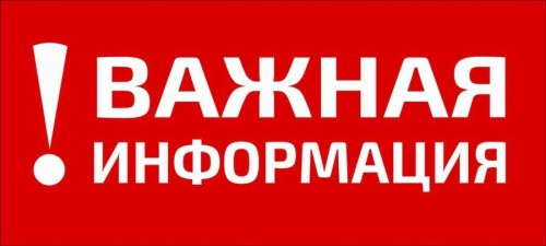 Вакцинация собак и кошек против бешенства 